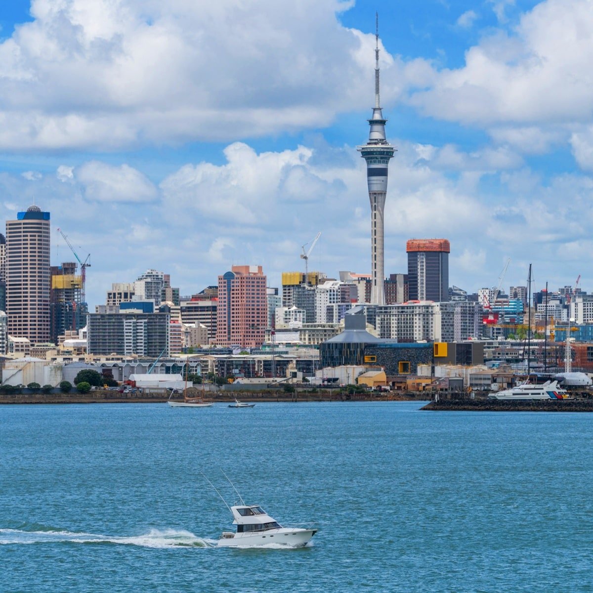 Best Astrologer in Auckland